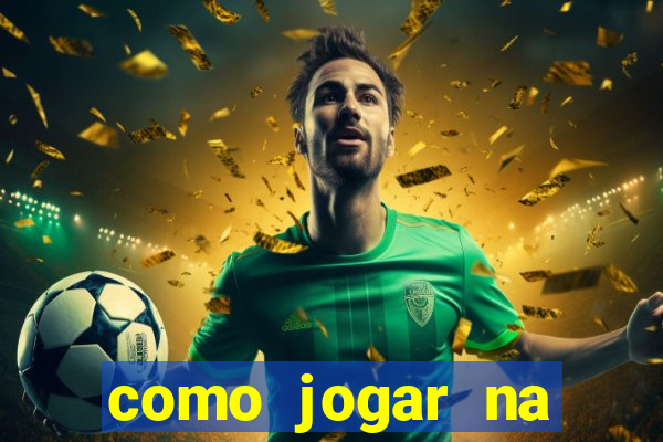 como jogar na seninha online